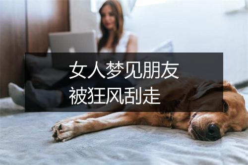 女人梦见朋友被狂风刮走