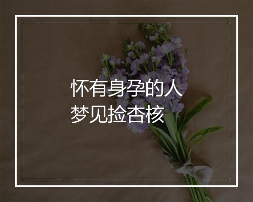 怀有身孕的人梦见捡杏核