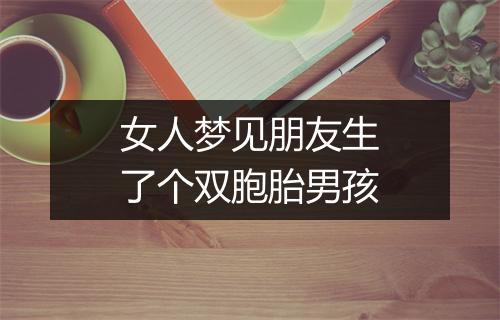 女人梦见朋友生了个双胞胎男孩