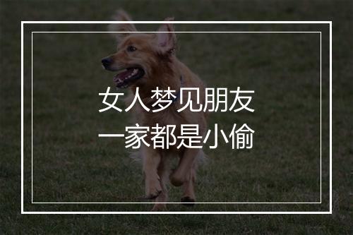 女人梦见朋友一家都是小偷