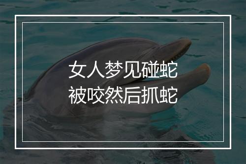 女人梦见碰蛇被咬然后抓蛇