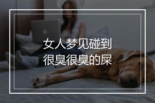 女人梦见碰到很臭很臭的屎