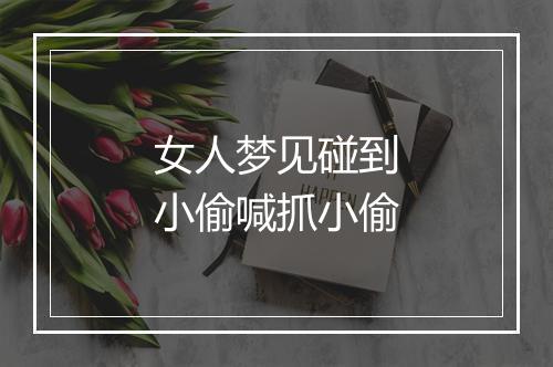 女人梦见碰到小偷喊抓小偷