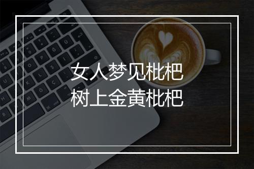 女人梦见枇杷树上金黄枇杷