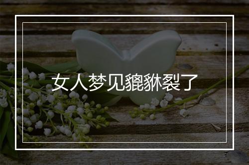 女人梦见貔貅裂了