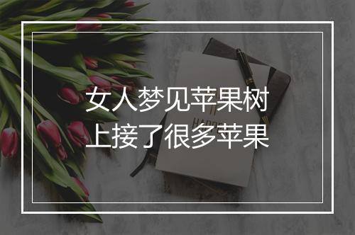 女人梦见苹果树上接了很多苹果