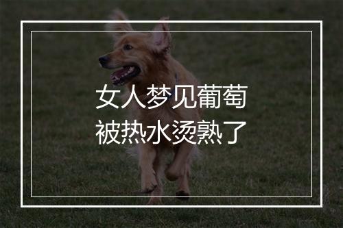 女人梦见葡萄被热水烫熟了