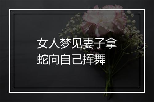 女人梦见妻子拿蛇向自己挥舞