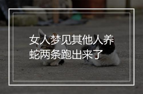 女人梦见其他人养蛇两条跑出来了