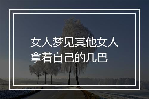 女人梦见其他女人拿着自己的几巴