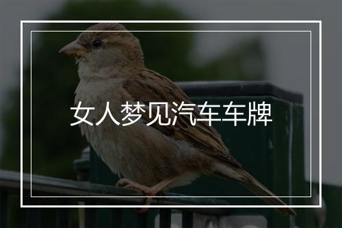 女人梦见汽车车牌