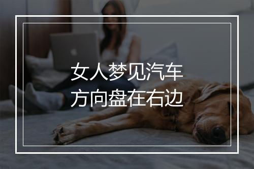 女人梦见汽车方向盘在右边