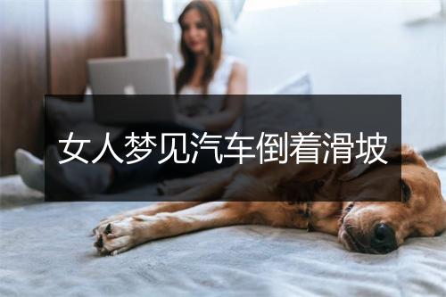 女人梦见汽车倒着滑坡