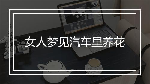 女人梦见汽车里养花