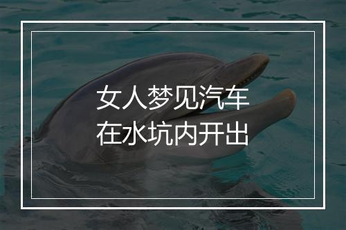 女人梦见汽车在水坑内开出