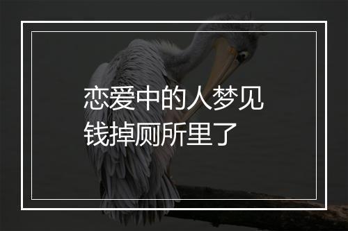 恋爱中的人梦见钱掉厕所里了