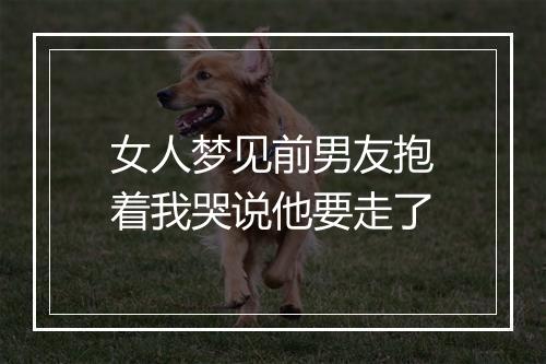 女人梦见前男友抱着我哭说他要走了