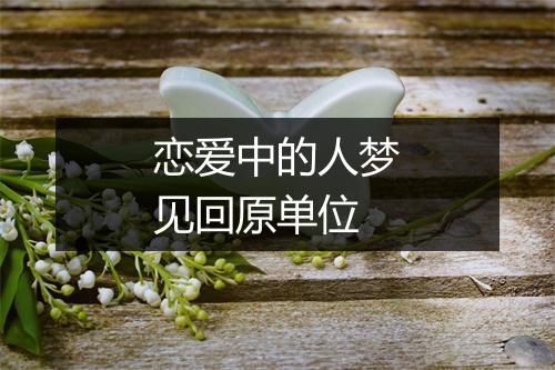 恋爱中的人梦见回原单位