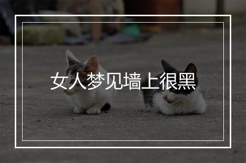 女人梦见墙上很黑