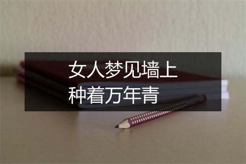 女人梦见墙上种着万年青