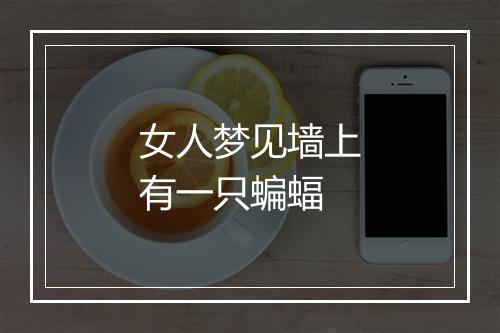 女人梦见墙上有一只蝙蝠