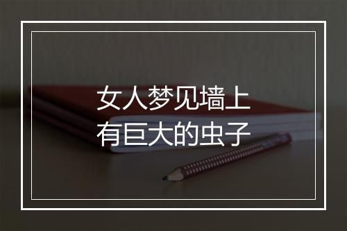 女人梦见墙上有巨大的虫子