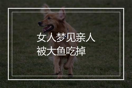 女人梦见亲人被大鱼吃掉