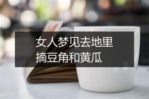 女人梦见去地里摘豆角和黄瓜