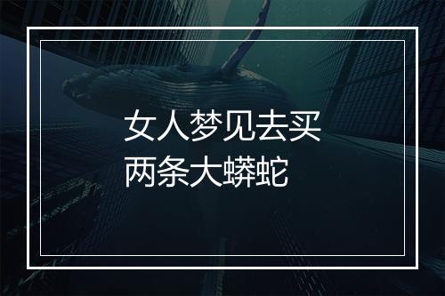 女人梦见去买两条大蟒蛇