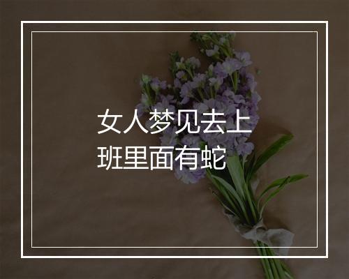 女人梦见去上班里面有蛇