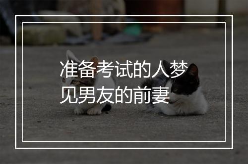 准备考试的人梦见男友的前妻