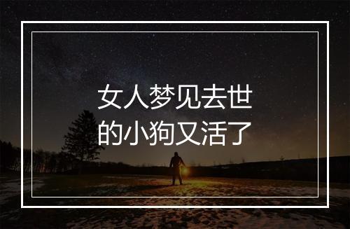 女人梦见去世的小狗又活了