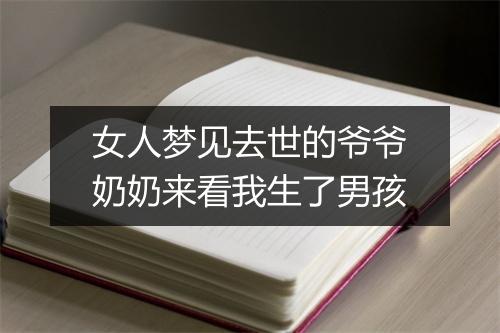 女人梦见去世的爷爷奶奶来看我生了男孩