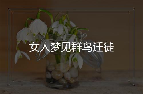 女人梦见群鸟迁徙