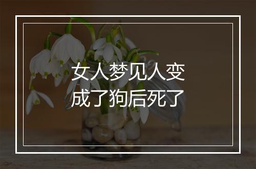 女人梦见人变成了狗后死了