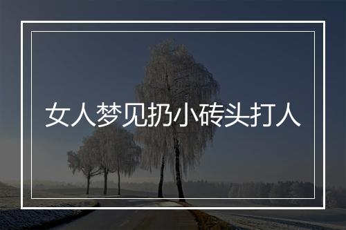 女人梦见扔小砖头打人