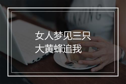 女人梦见三只大黄蜂追我