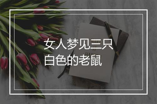 女人梦见三只白色的老鼠