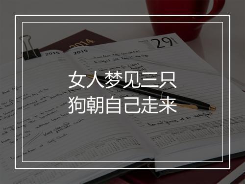 女人梦见三只狗朝自己走来