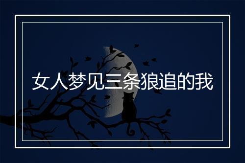 女人梦见三条狼追的我