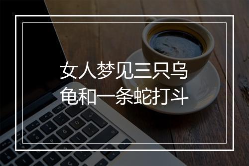 女人梦见三只乌龟和一条蛇打斗