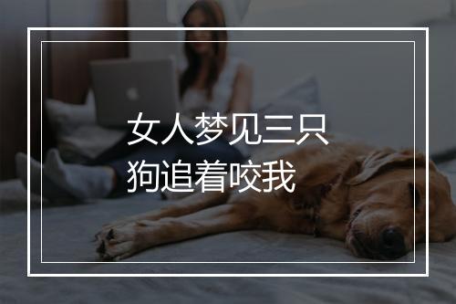 女人梦见三只狗追着咬我