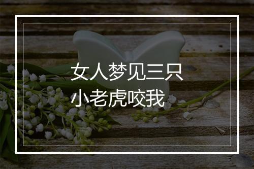 女人梦见三只小老虎咬我