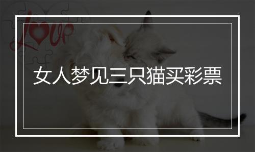 女人梦见三只猫买彩票