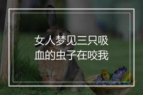 女人梦见三只吸血的虫子在咬我