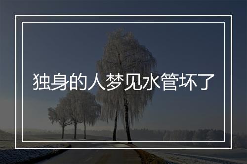 独身的人梦见水管坏了