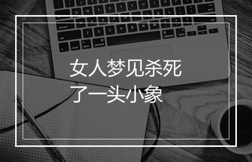 女人梦见杀死了一头小象