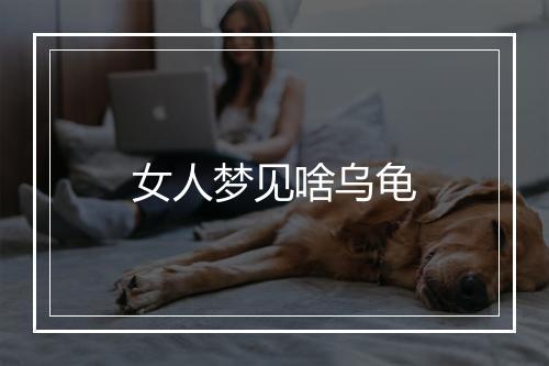 女人梦见啥乌龟