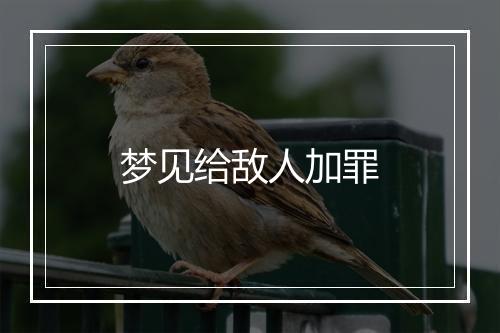 梦见给敌人加罪