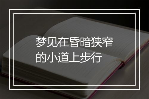 梦见在昏暗狭窄的小道上步行